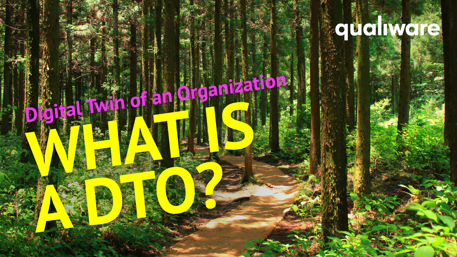 What is a Digital Twin of an Organization (DTO)?